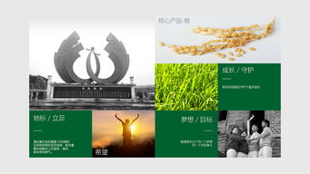 振翅高飛，共繪藍圖——百利金企業(yè)形象策劃與設計方案演示