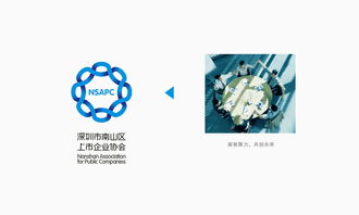 vi設(shè)計(jì)精選 深圳市南山區(qū)上市企業(yè)協(xié)會(huì)品牌形象設(shè)計(jì)